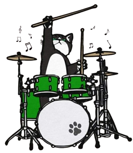 a cat playing a drum